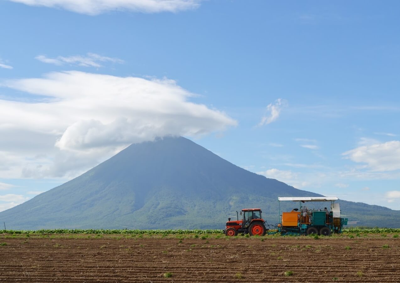 羊蹄山の風景写真